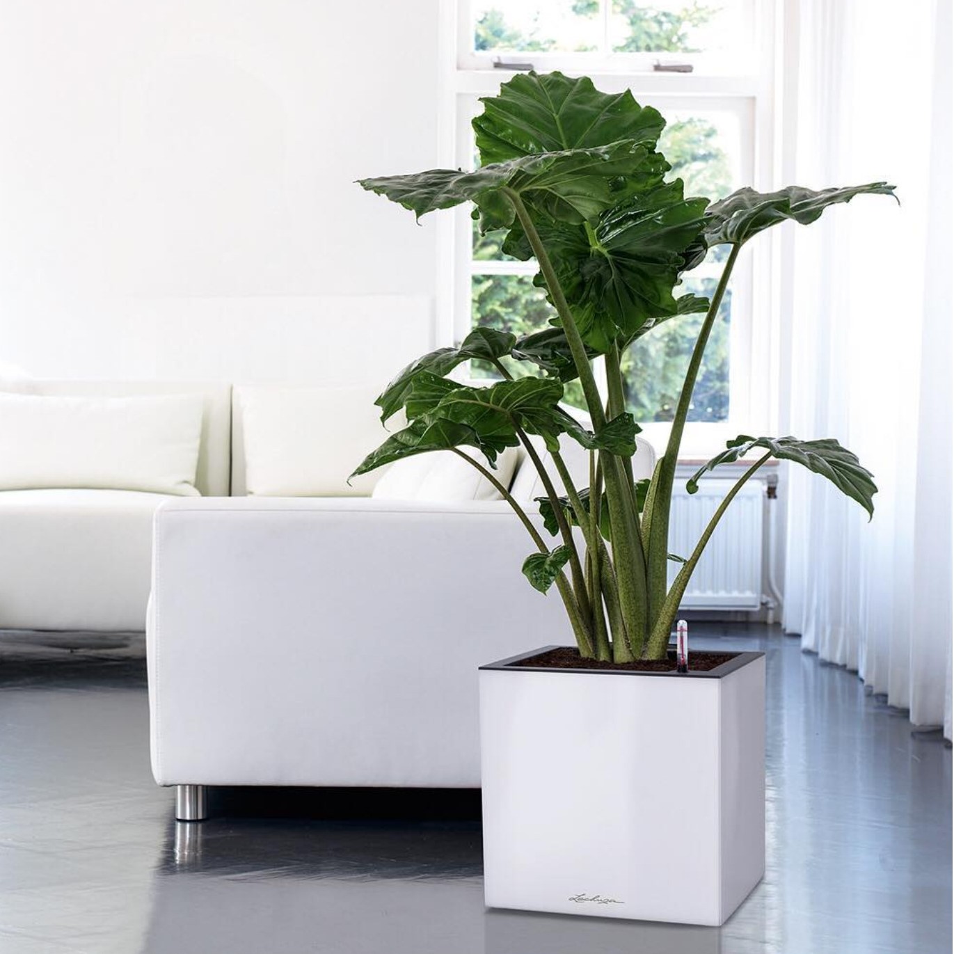 Vasi per piante grandi in resina per abbienti moderni interni e